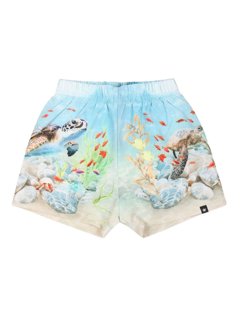Costume da bagno per neonato Molo azzurro con stampa grafica e vita elasticizzata