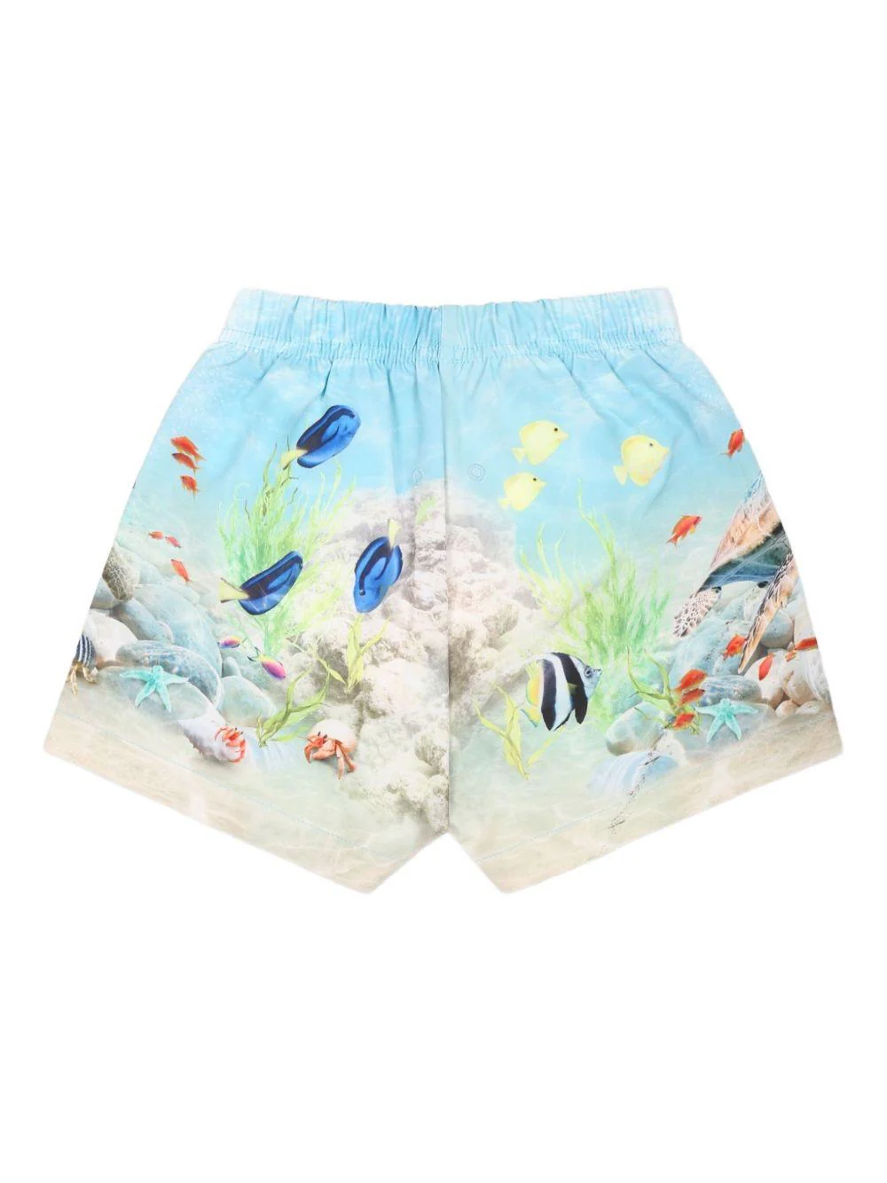 Costume da bagno per neonato Molo azzurro con stampa grafica e vita elasticizzata - Image 2