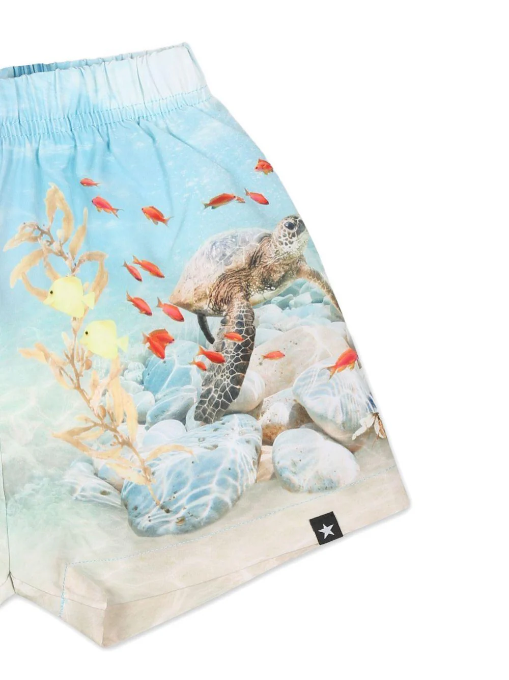 Costume da bagno per neonato Molo azzurro con stampa grafica e vita elasticizzata - Image 3