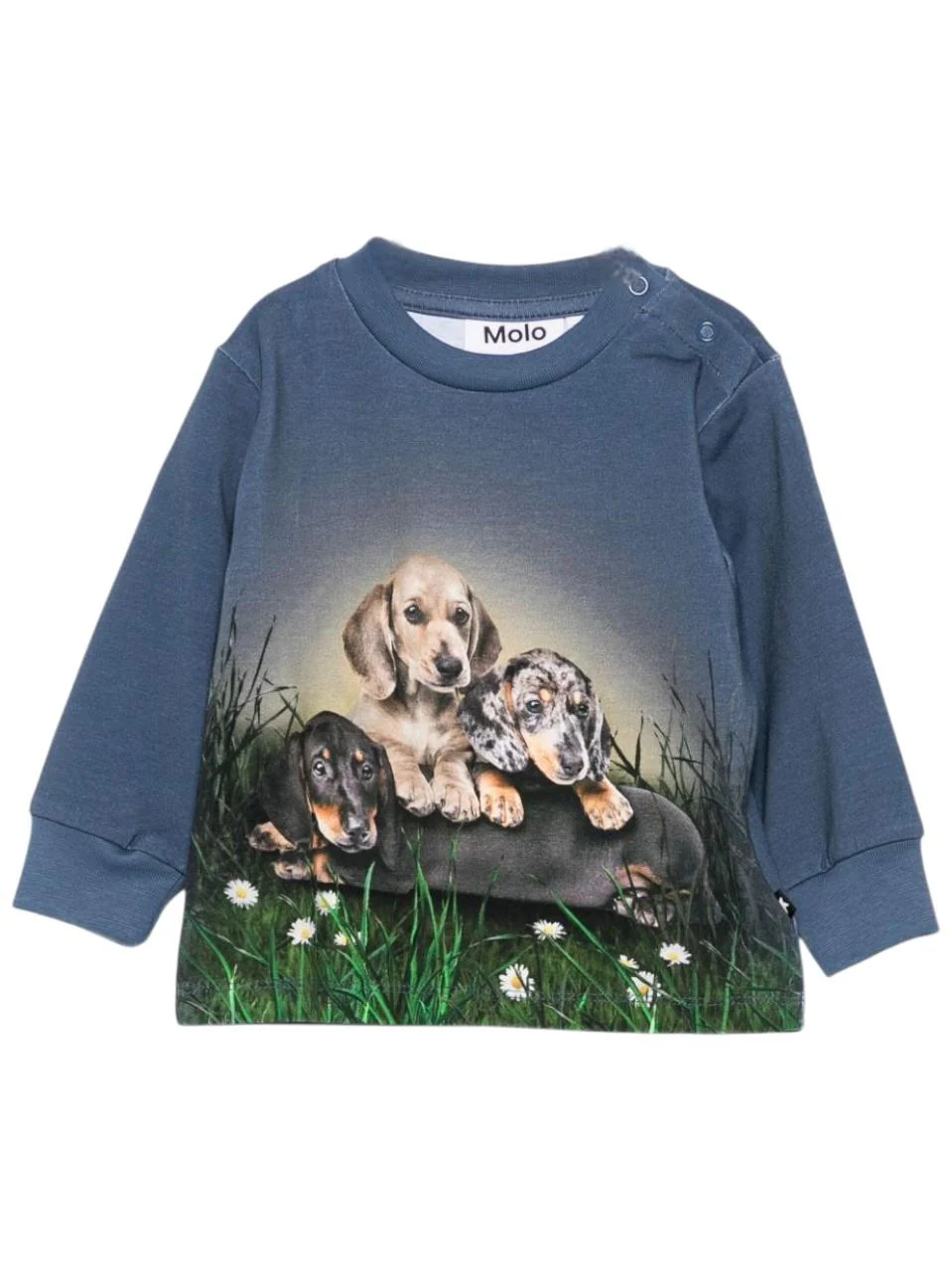 Felpa per neonato Molo blu con stampa cane
