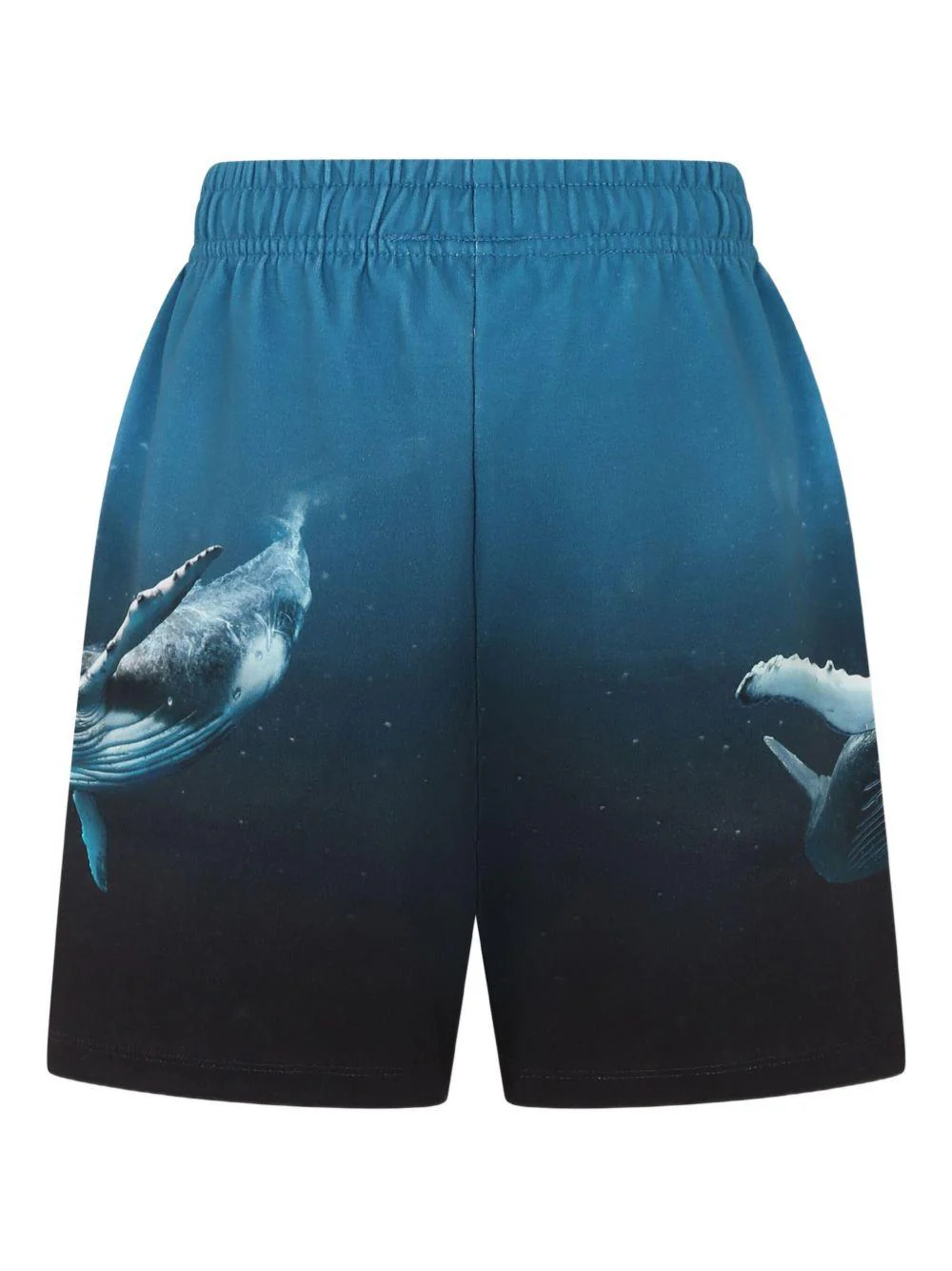 Shorts per bambino Molo blu con stampa grafica - Image 2