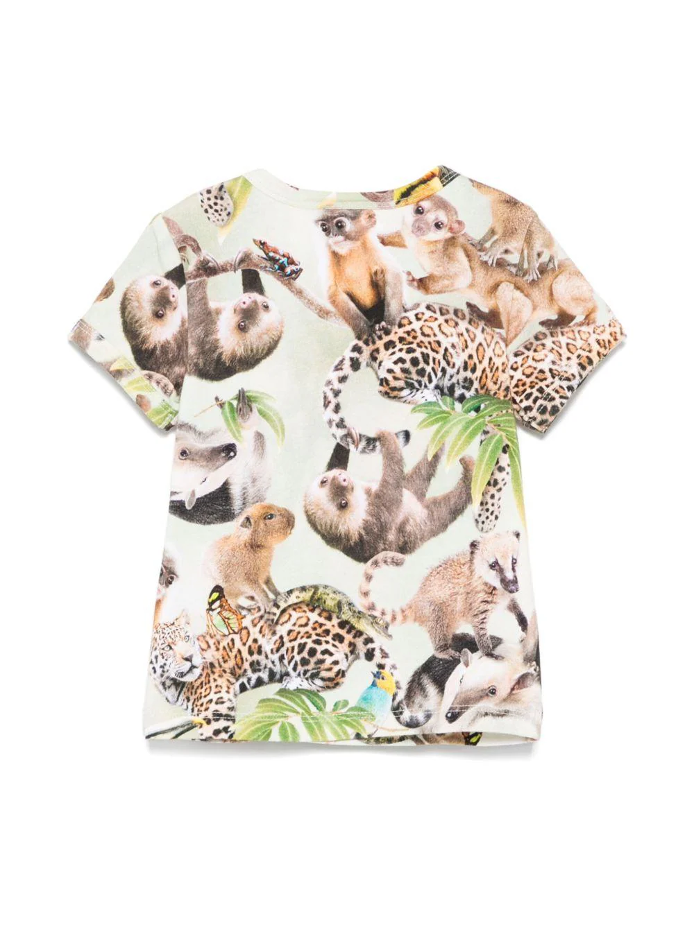 T-shirt Easy per neonati Molo multicolor con stampa - Image 3
