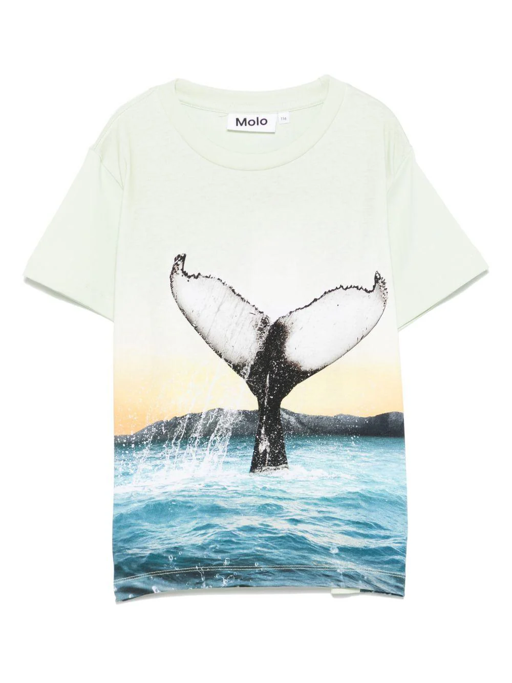 T-shirt per bambino Molo Rame verde con stampa grafica