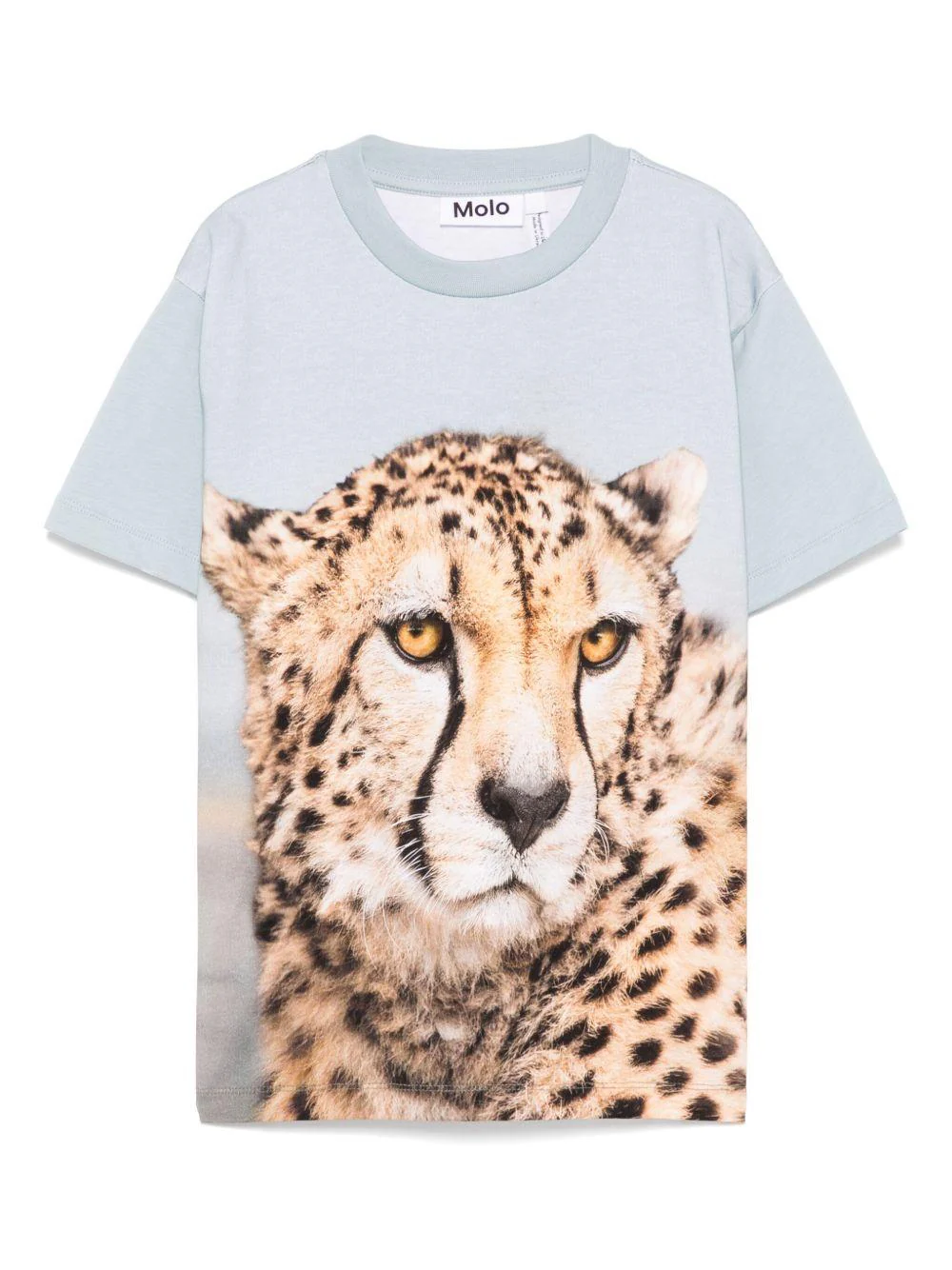 T-shirt per bambino Molo Rubin azzurro con stampa ghepardo