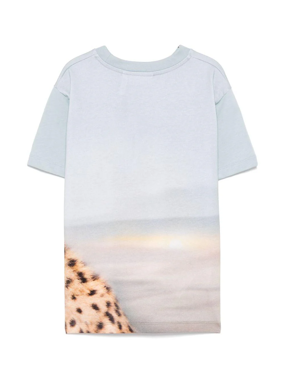 T-shirt per bambino Molo Rubin azzurro con stampa ghepardo - Image 2